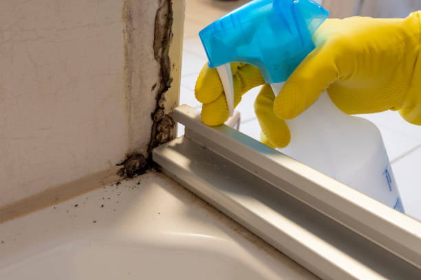 Mold Remediation for Rental Properties in Hainesville, IL